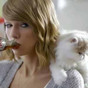 A Year in the Life of Taylor Swift's Cats